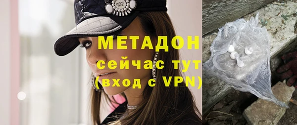 индика Инта