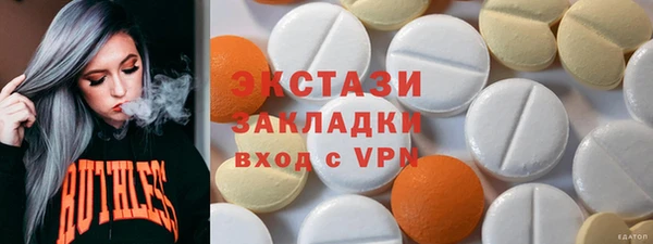 индика Инта