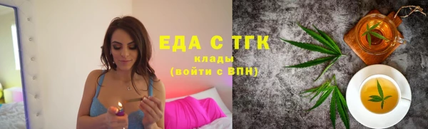 соль ск Инсар