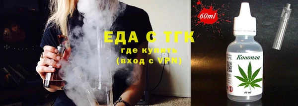 индика Инта