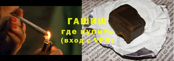 индика Инта
