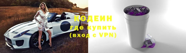 индика Инта