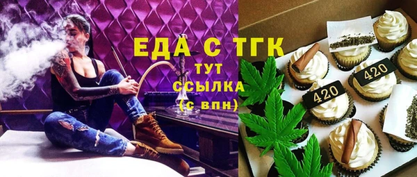 соль ск Инсар