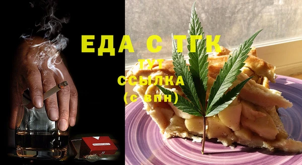 индика Инта