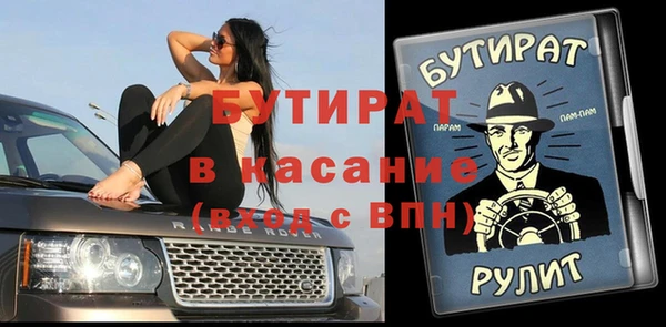 индика Инта