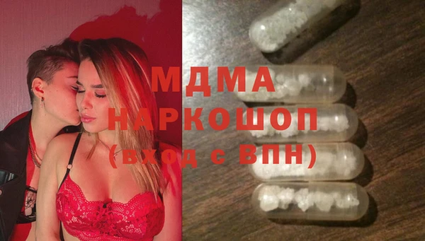 индика Инта