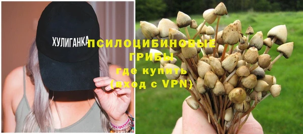 соль ск Инсар