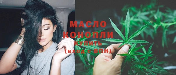 индика Инта