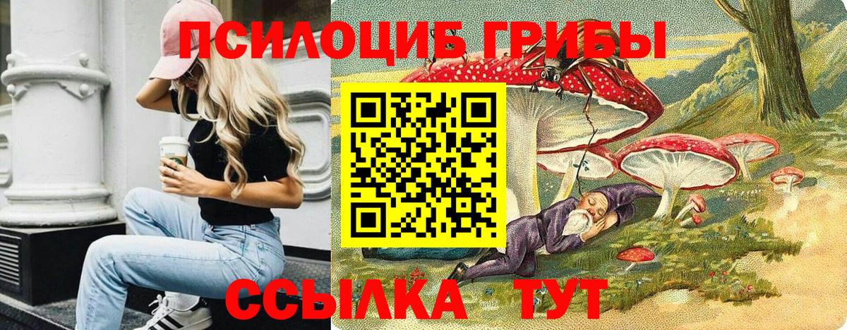 Галлюциногенные грибы прущие грибы Коряжма