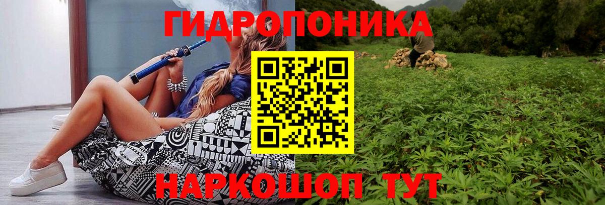Бошки марихуана AK-47 Коряжма
